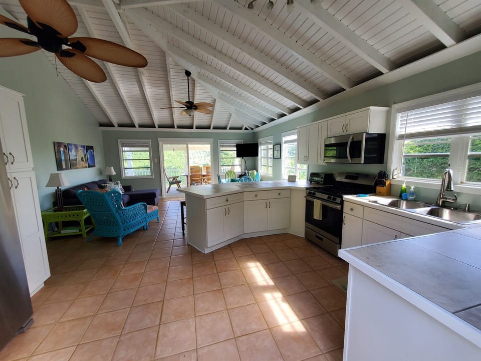 Open concept from the kitchen to living area
