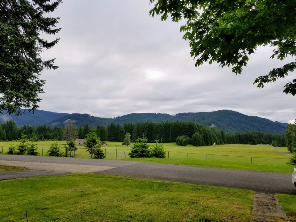 Front yard view