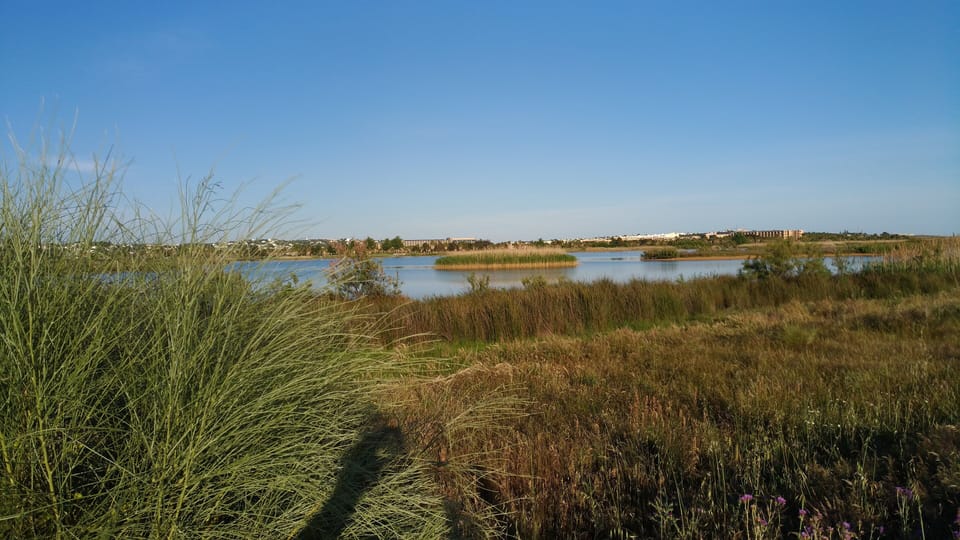 Natureza