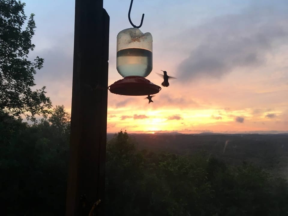 Welcome to Skyline Drive Getaway