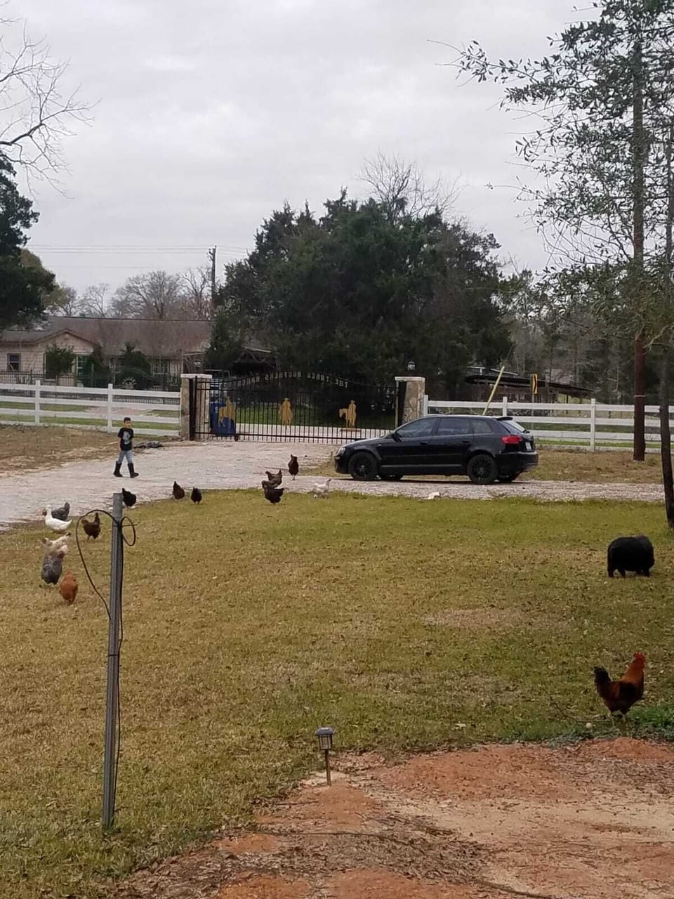 Property grounds