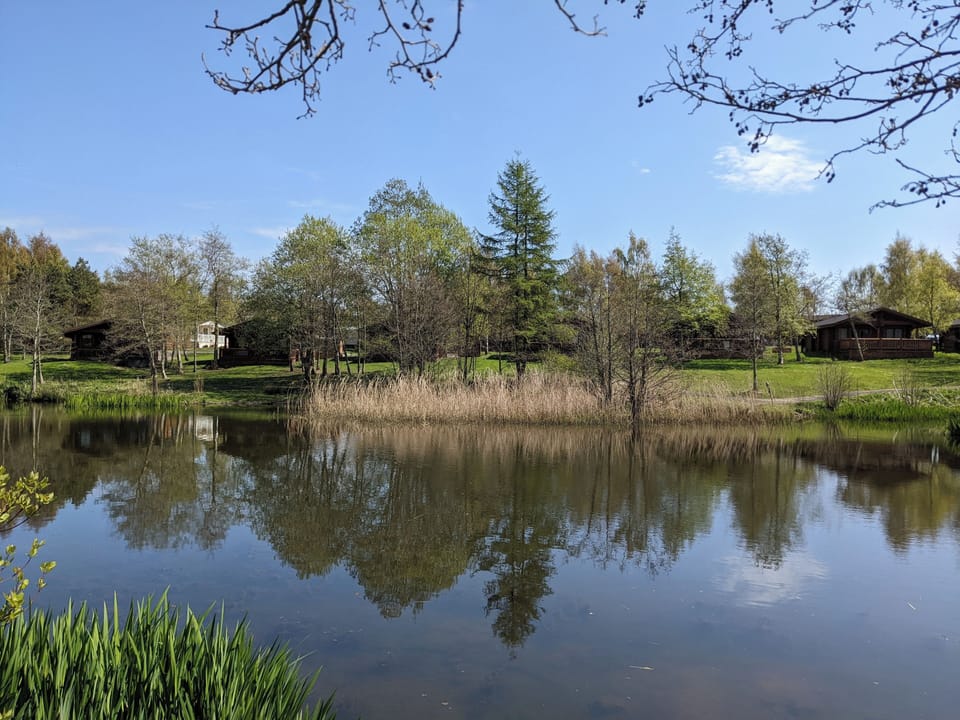 Image 21