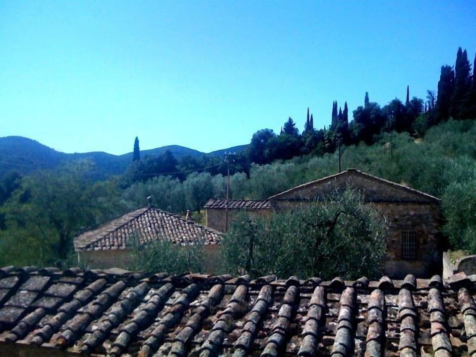 view from a bathroom