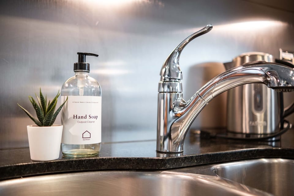 Complimentary hand and dish soap