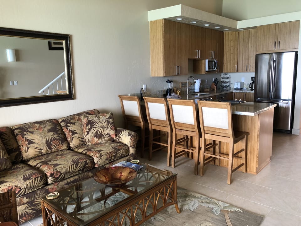 Living and bar area