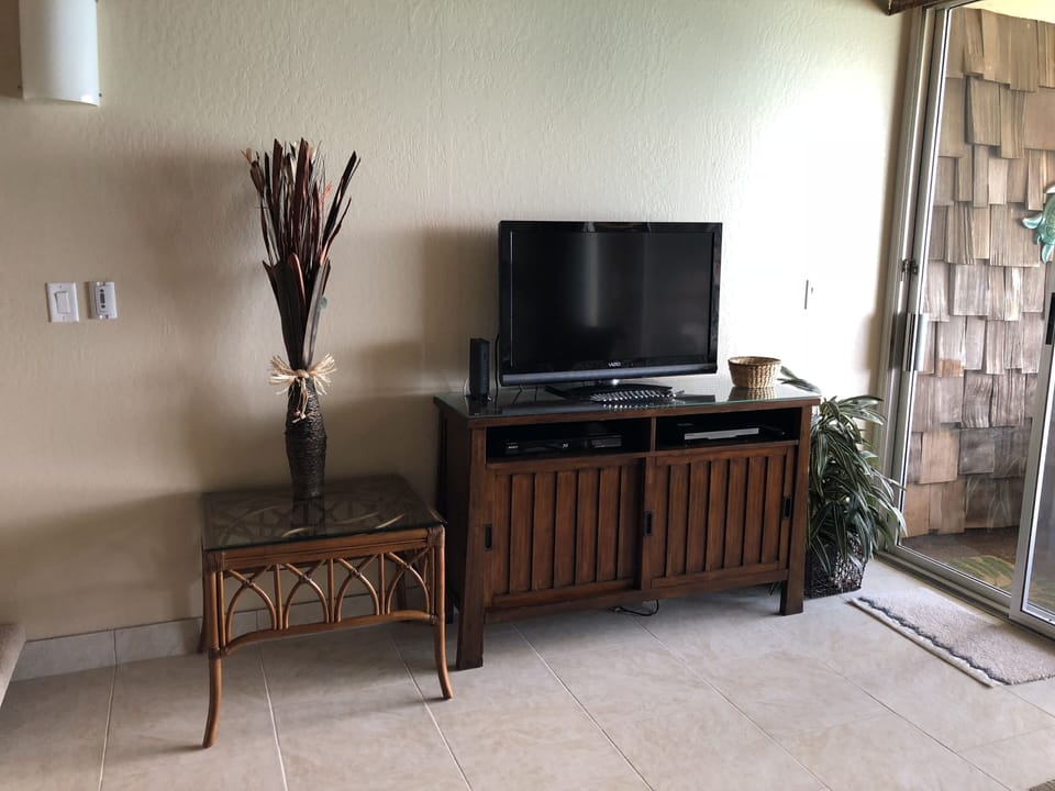 TV and DVD player