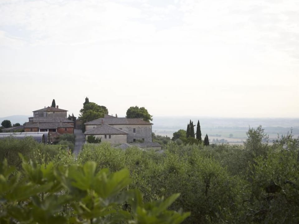 view of the estate