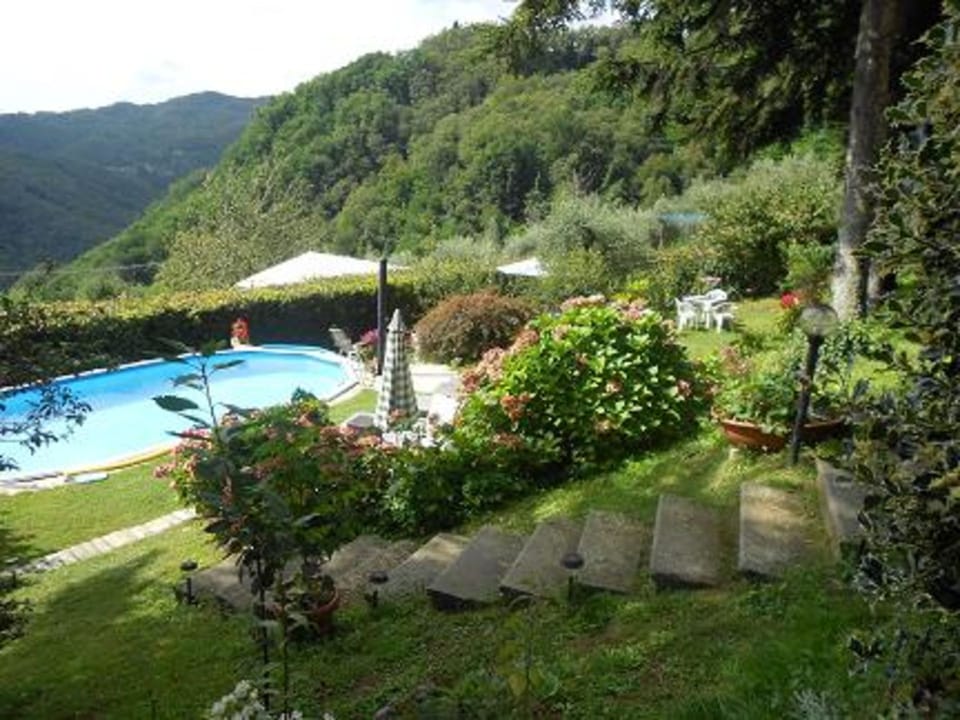 Garden, Outdoor, Pool