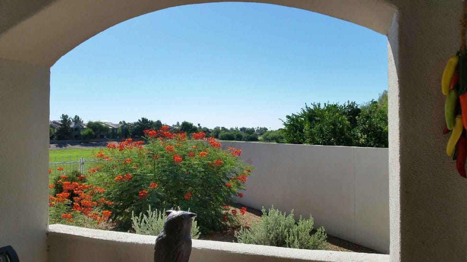 View from outside patio.