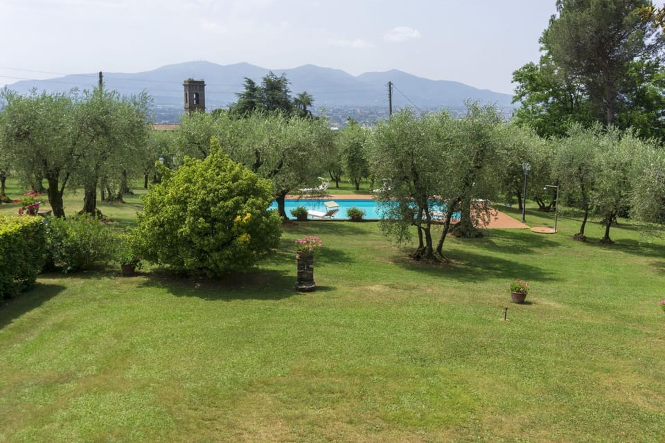 Pool, Scenic View