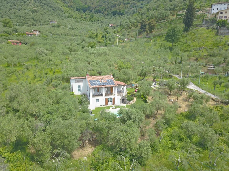 Garden, Outdoor, Pool