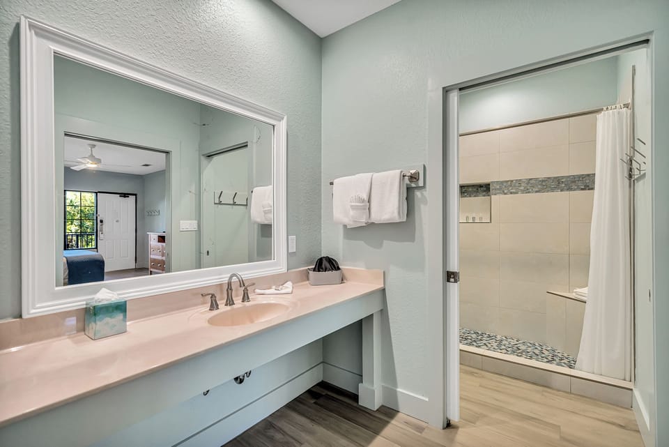 Large vanity counter and bathroom with walk-in shower