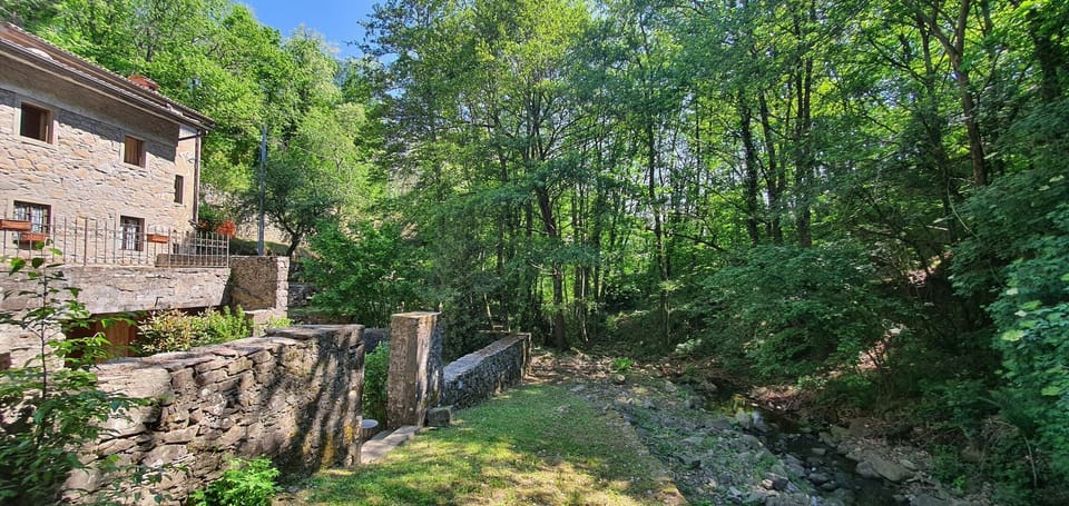 Outdoor, Scenic View