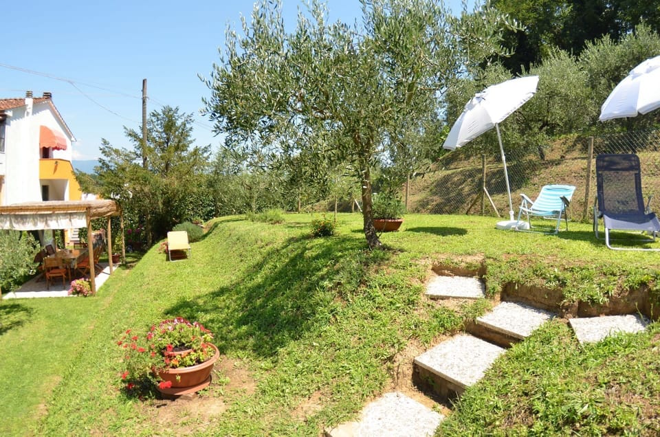 Garden, Outdoor, Pool