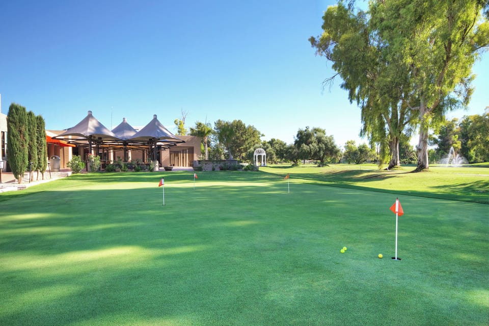 OrangeTree_golf_013