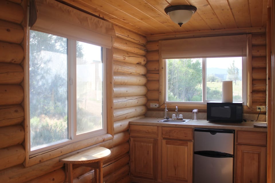 Kitchenette with sink, microwave and refrigerator