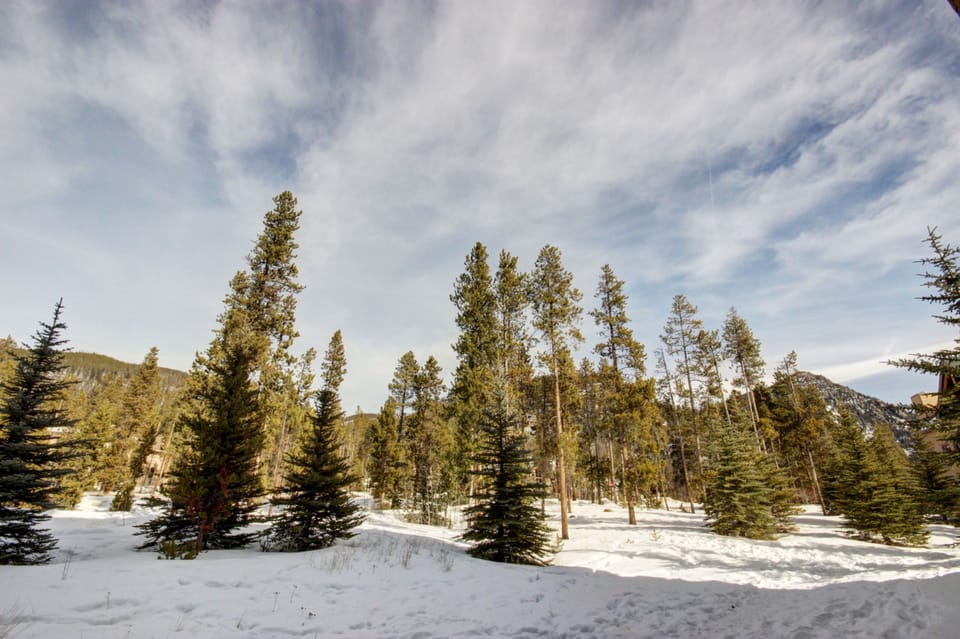 Colorado nature views! #winter