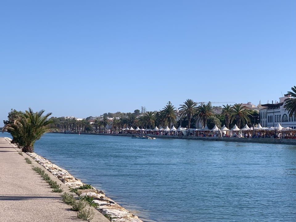 Lagos marina waterfront promenade with palm trees and blue waters, close to Marina Park apartment