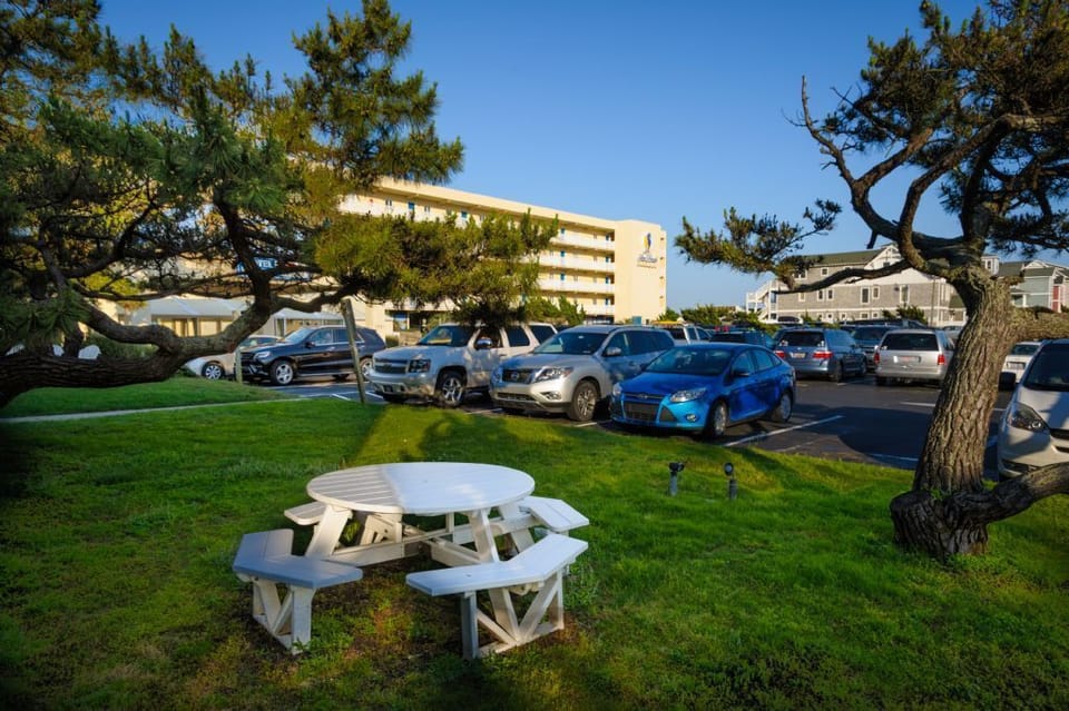 Picnic Area