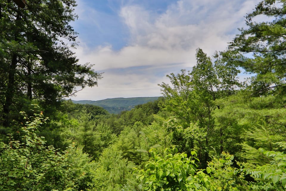 Mountain Views!