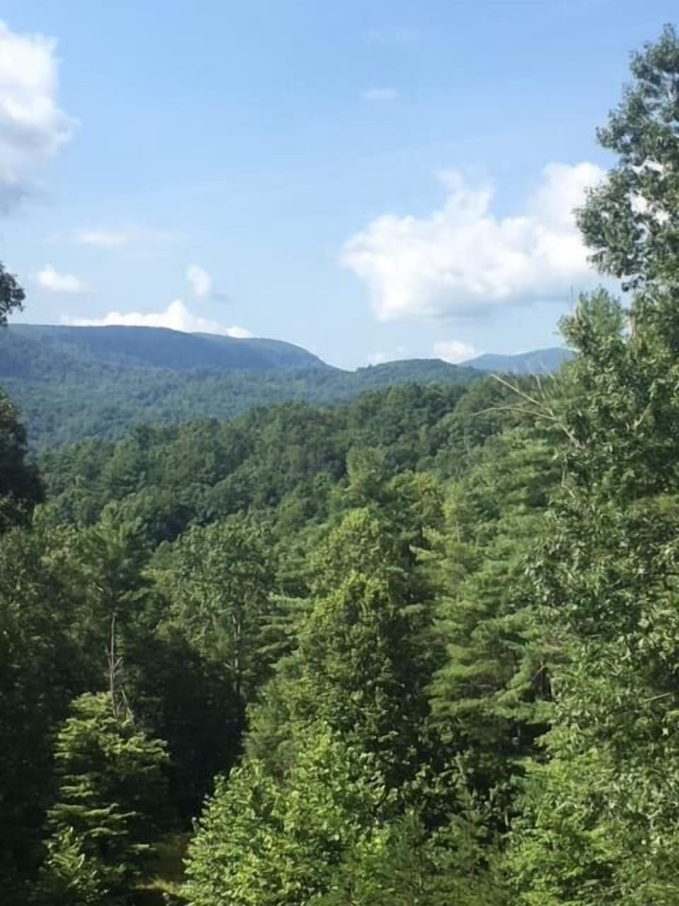Three Daughters at Leatherwood Mountains