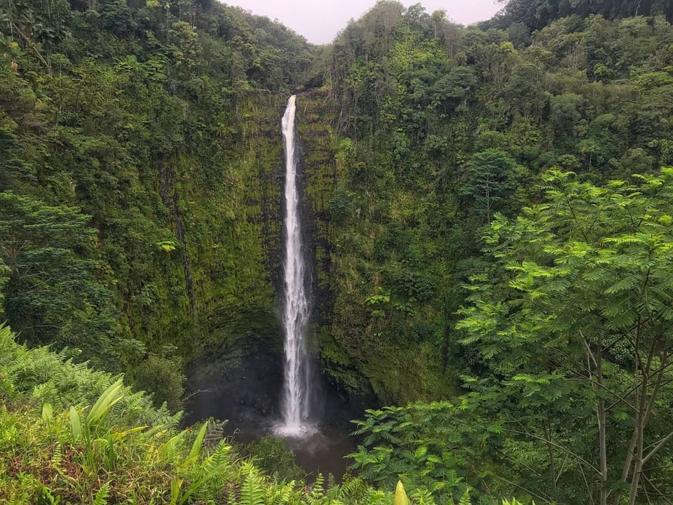 Steps from the unit, a sandy beach offers sunbathing, swimming, and water activities. Within 1/4 mile to shops, restaurants, and local attractions, ideal for exploring Kailua-Kona.