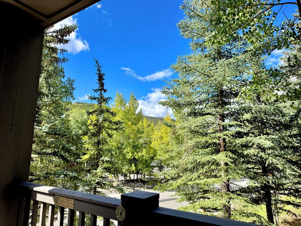Beautiful Views from the Balcony #summer