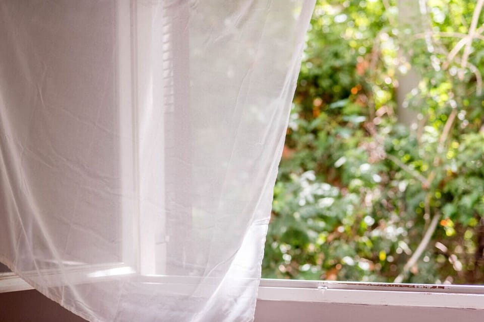 Wide windows for a breathe of fresh air