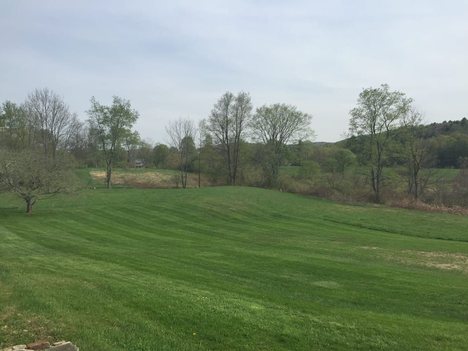 Lovely field behind house, great for soccer or sledding