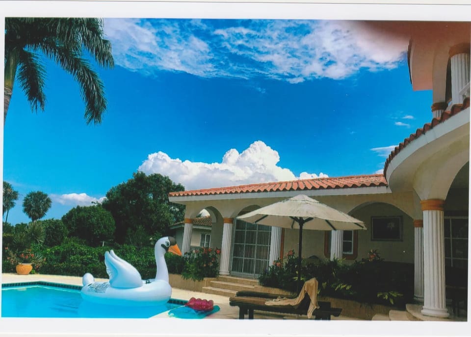 pool toy