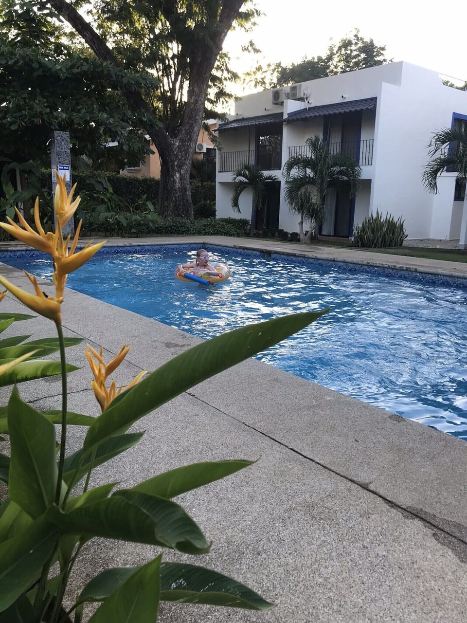 Our pool