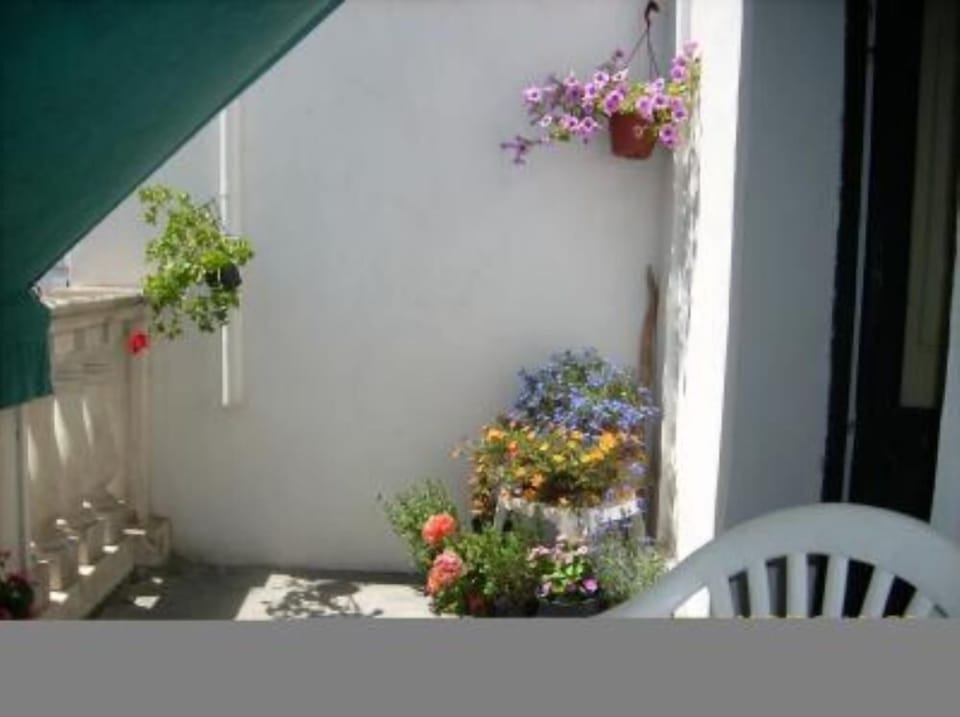 Terrace / Balcony