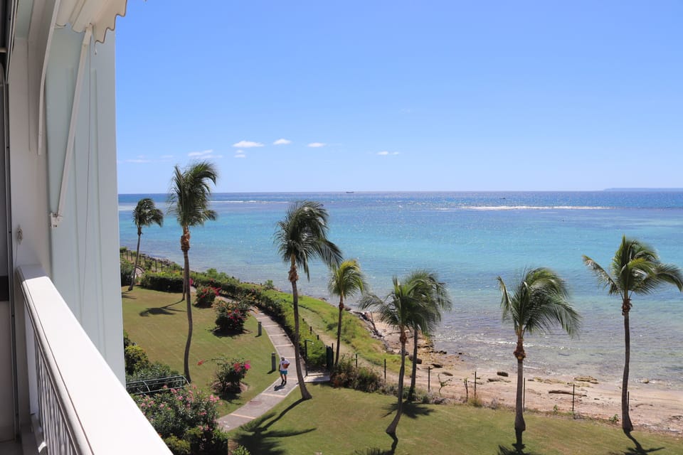 Terrace view