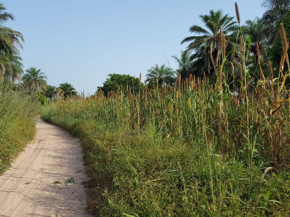 Miscellaneous