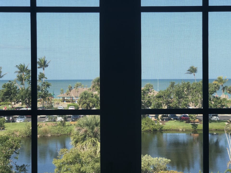 View from master bedroom windows