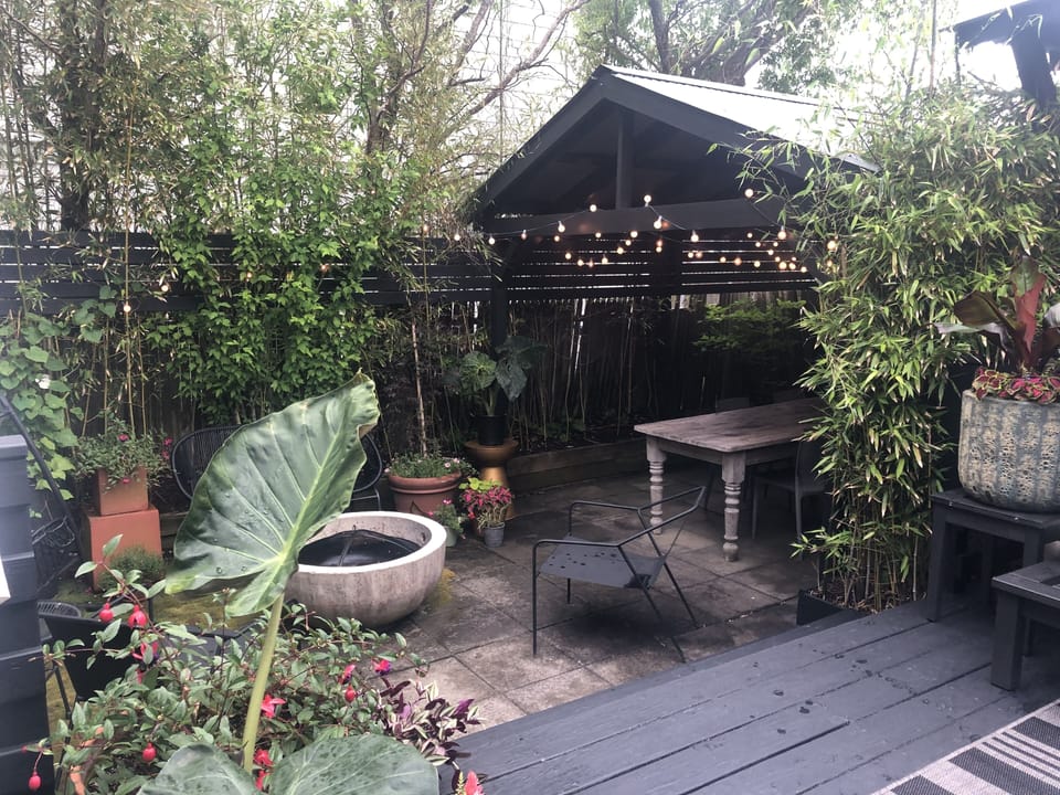 Backyard
