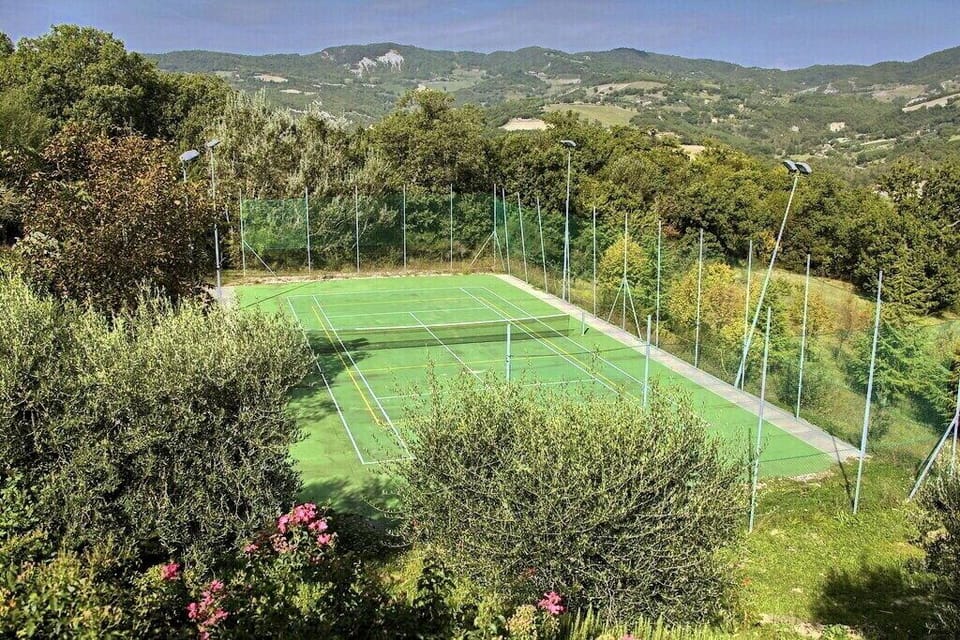 Sport court