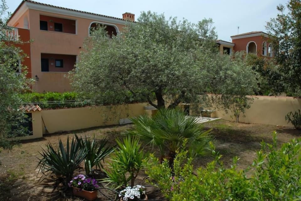 Garden, Park