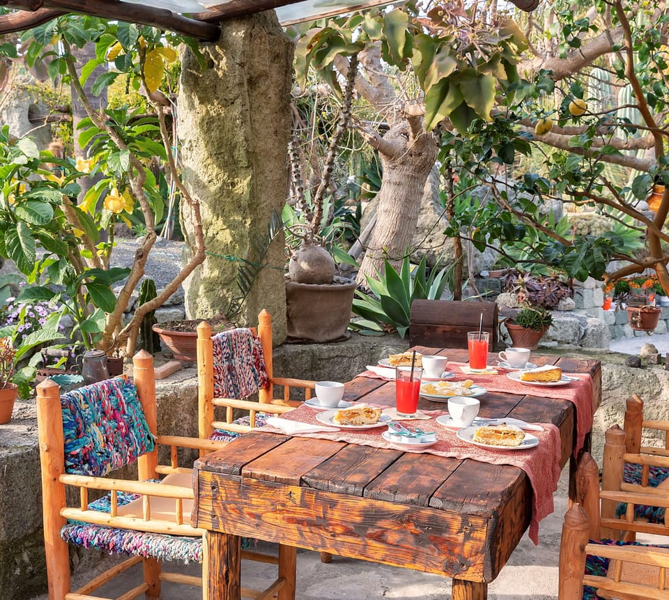The cactus Lounge Bar Restaurant inside the property. Breackfast, lunch, dinner.