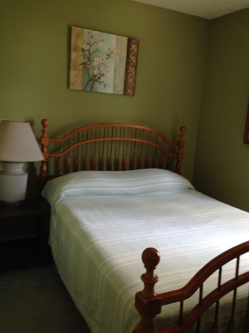 downstairs bedroom with queen