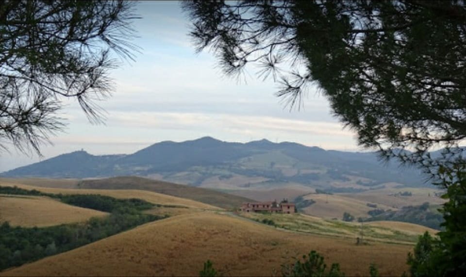 AGRITURISMO CASANUOVA - Loggia apartment                       House in Tuscany