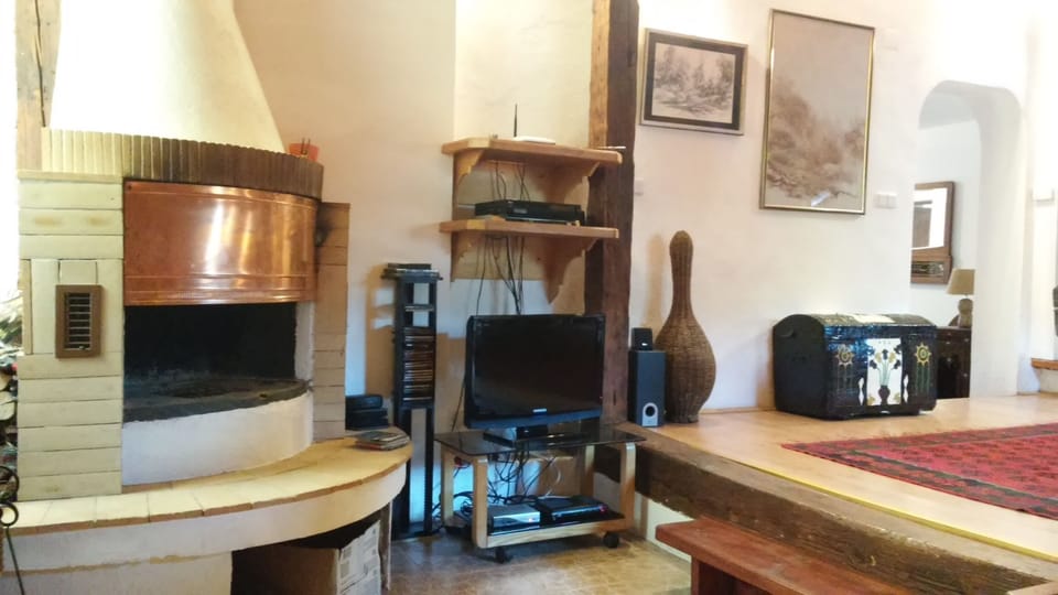 Living area and fireplace