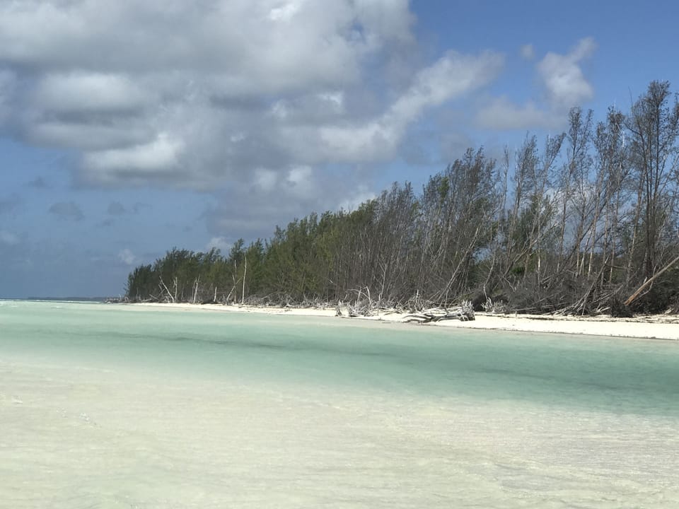 beach