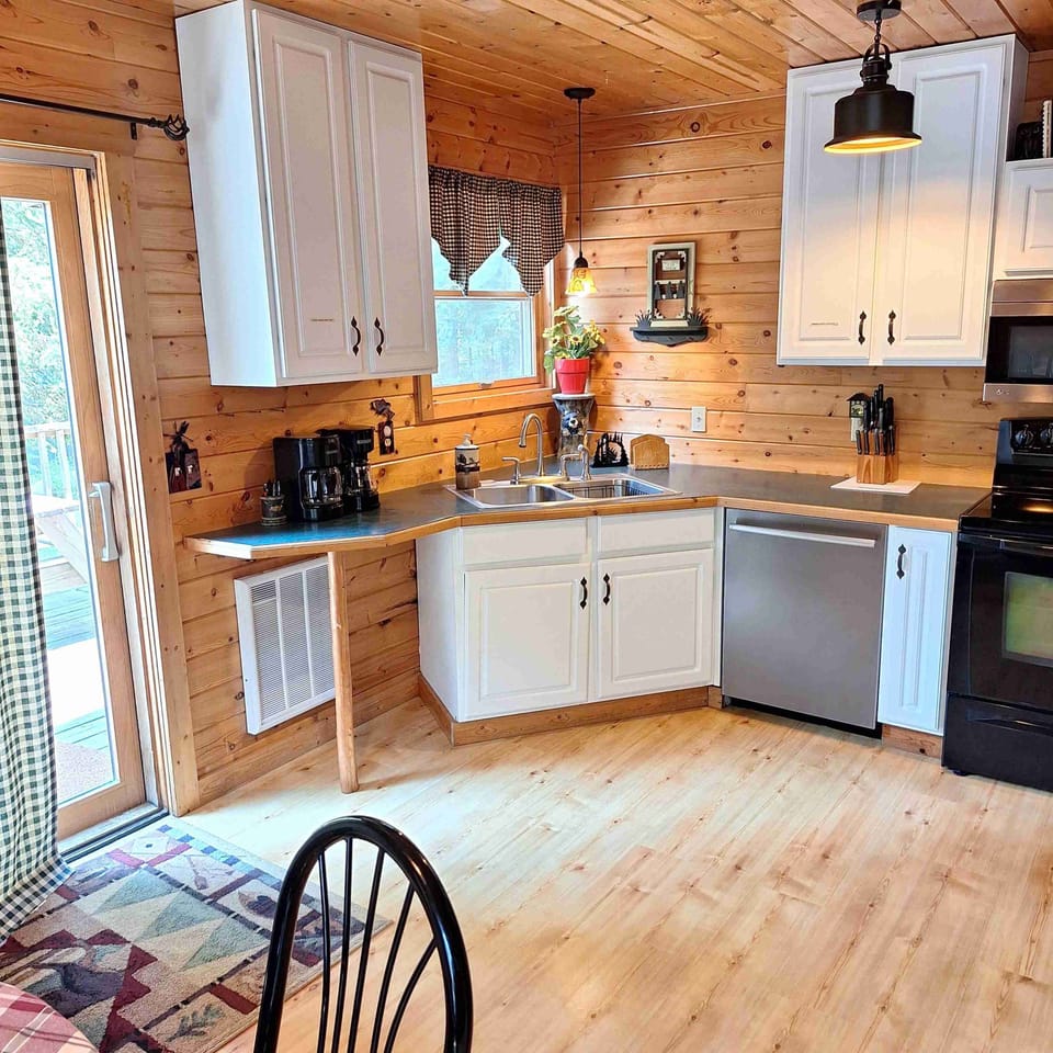 Newer dishwasher, non-toxic chemical-free dish soap and d/w detergent provided