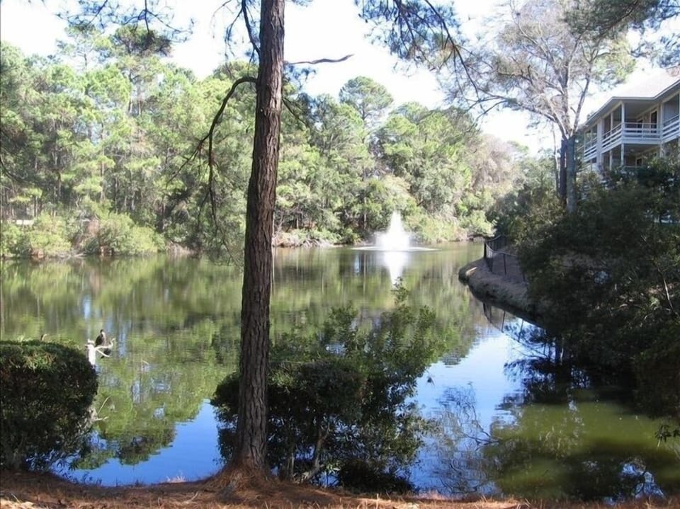 Ocean Palms Villa Rental - Another Look at the Pond 