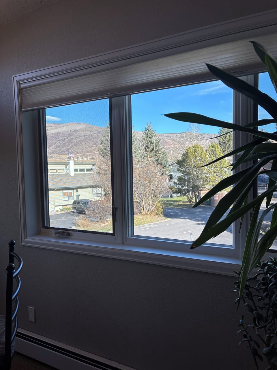 View from Kitchen sink
