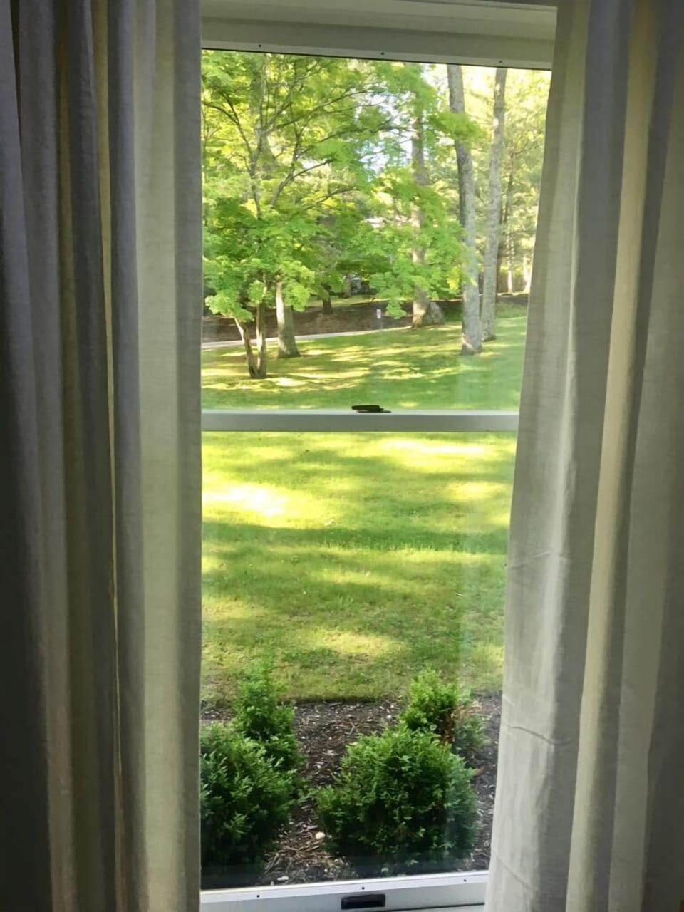 View from the living area