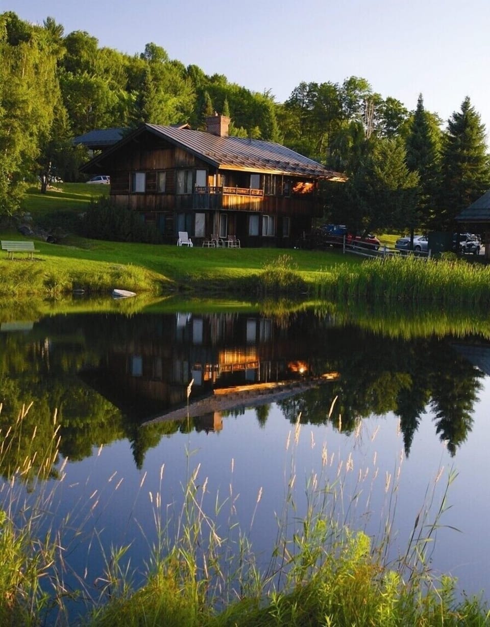 Pond View