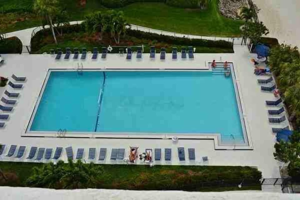 Large olympic size pool