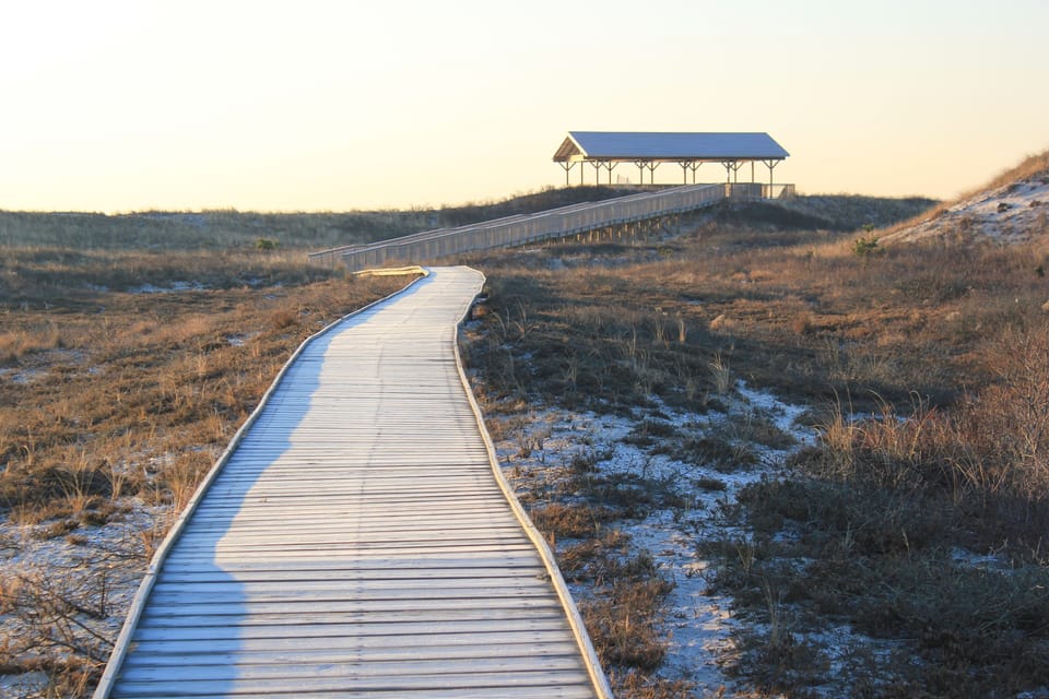 Ferry service available to Ho Hum Beach on Fire Island from Village dock